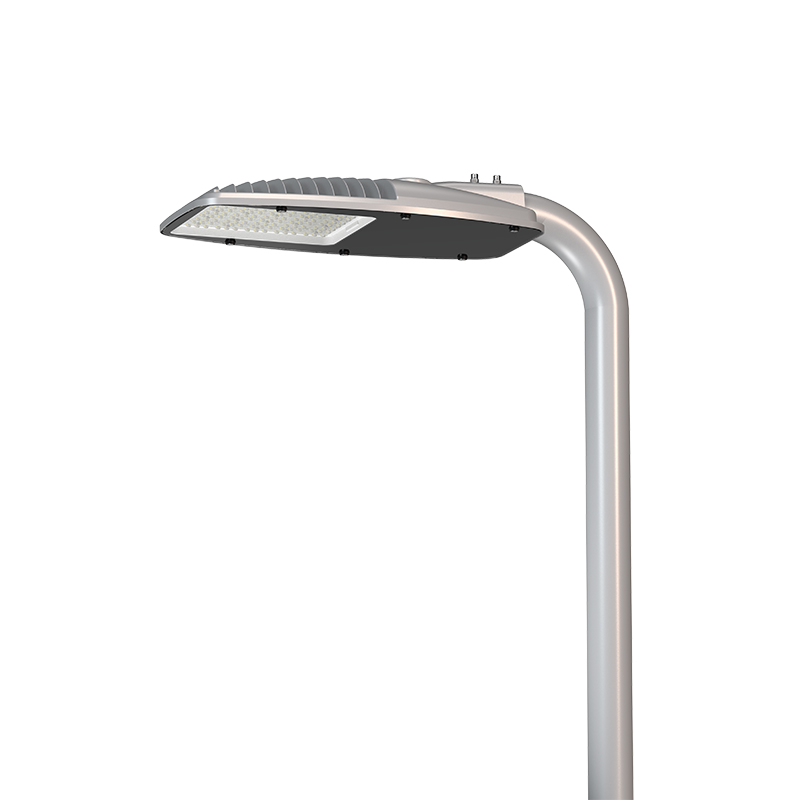 Outdoor roadway lighting street light 