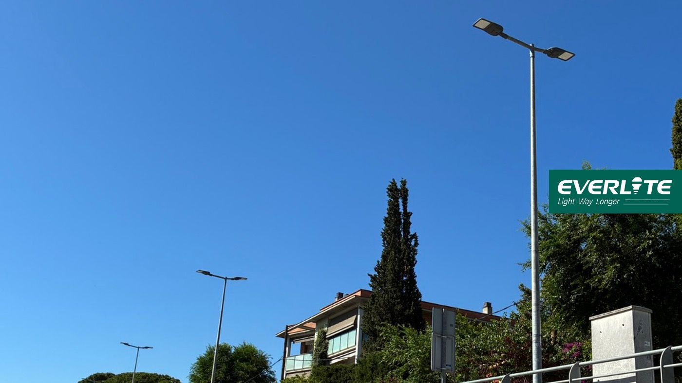 Every Street Holds Our Pride