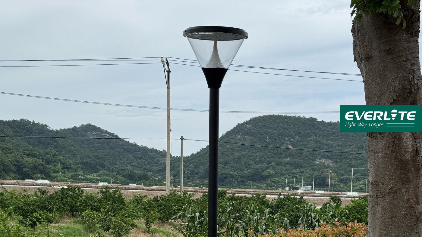 Where Street Ends and Landscape Lighting Begins