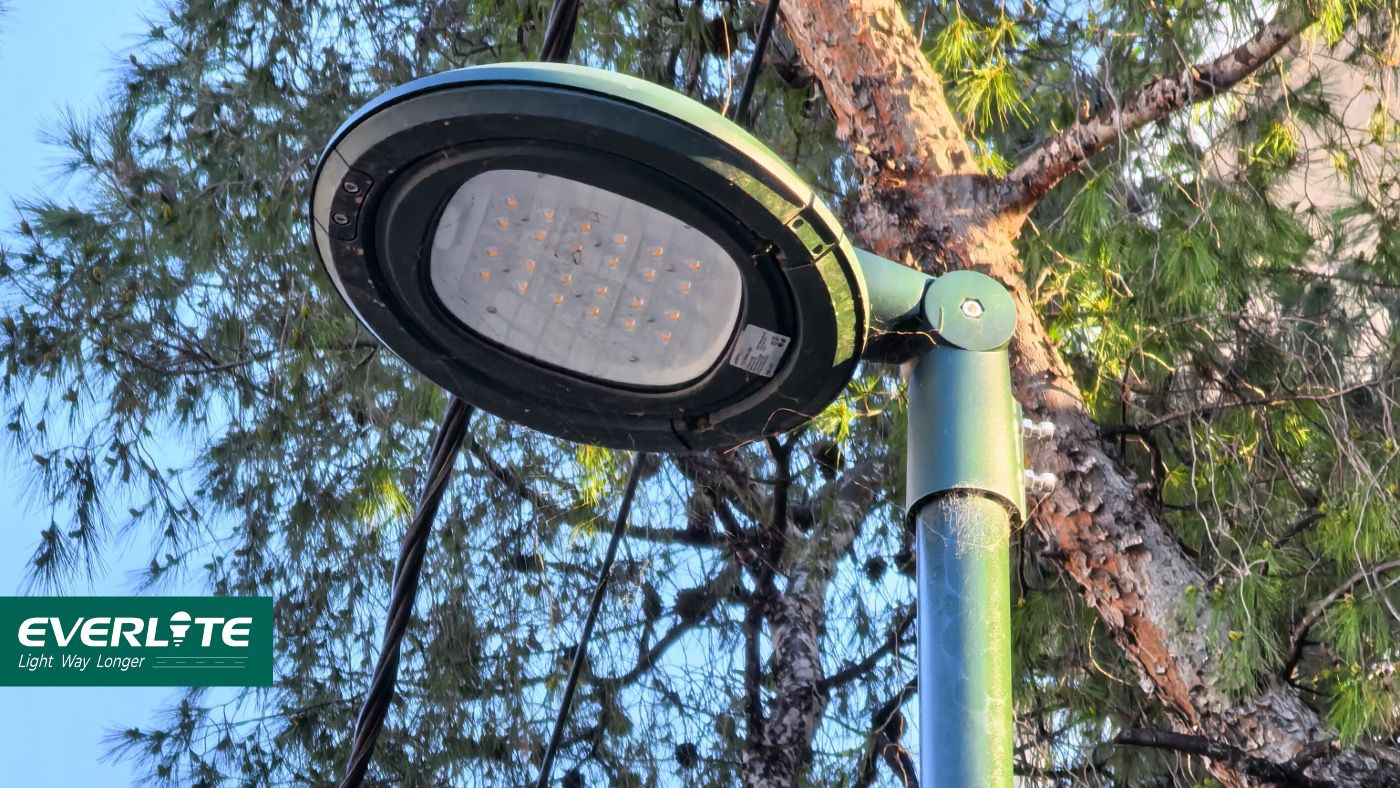 From Observation to Application: Re‑imagining Sustainable Urban Light